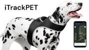 Long Range Tracking Pet Tracker GSM GPS Tracking Collars for Hunting Dogs Size:L