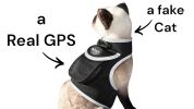 Long Range Tracking Pet Tracker GSM GPS Tracking Collars for Hunting Dogs Size:L