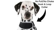 Long Range Tracking Pet Tracker GSM GPS Tracking Collars for Hunting Dogs Size:L