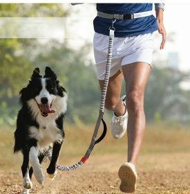 Hands Free Dog Leash for Medium and Large Dogs - Durable Dual Handle Waist Leash with Reflective Bungee for Running; Walking; Training; Hiking (Specification (L * W): 2.5*160cm, colour: blue-4211)